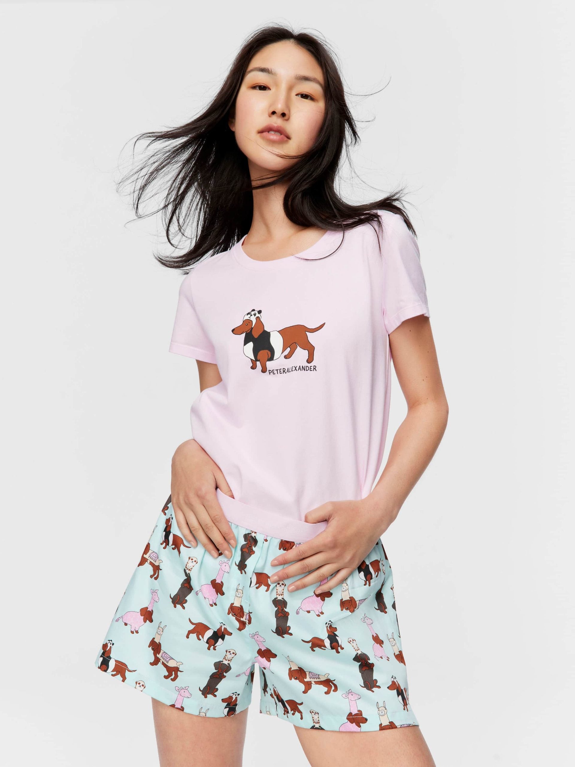 Dress Up Dogs Boxer Short multi image 0