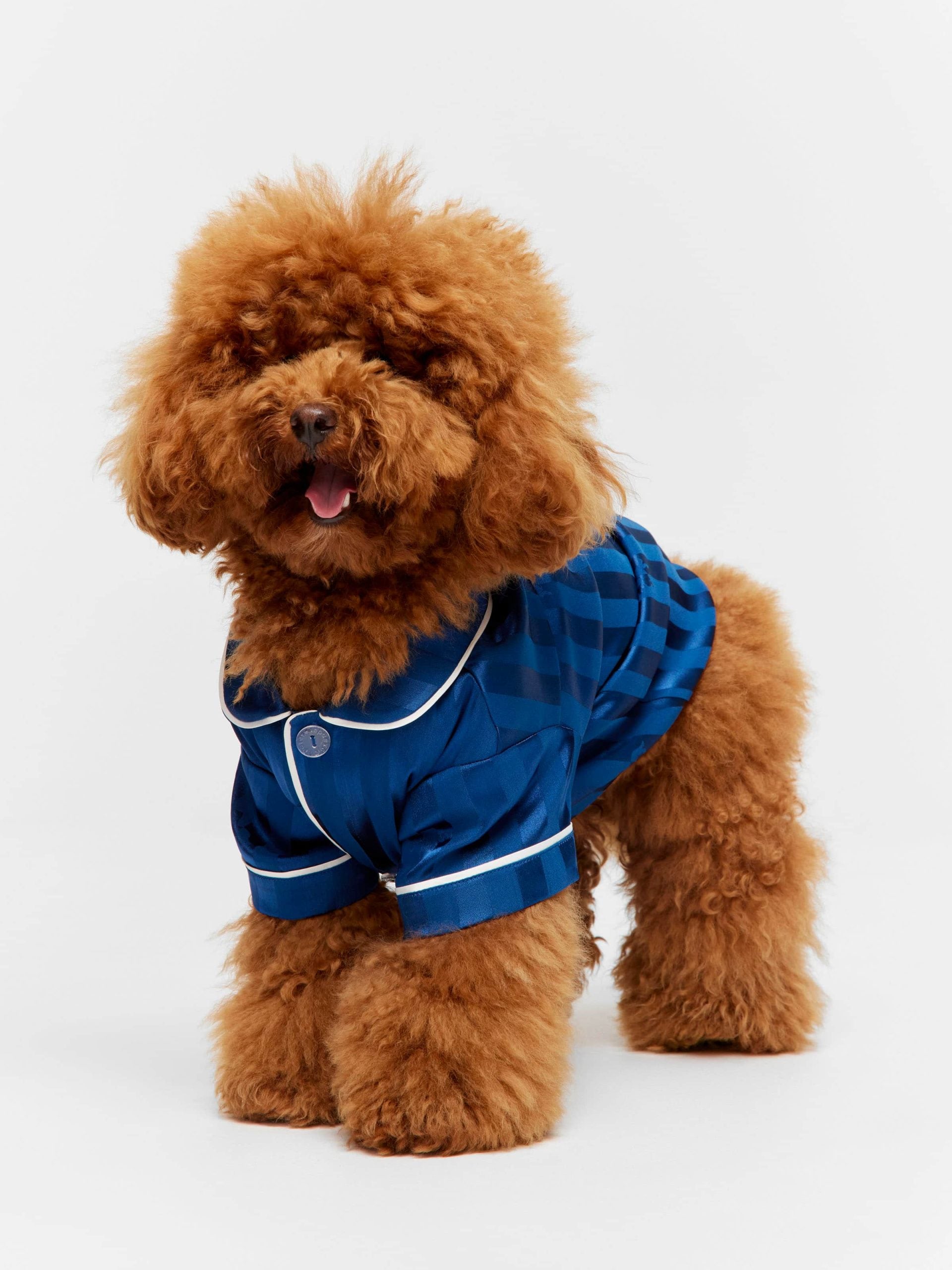 Navy Stripe Satin Doggie Shirt Navy image 0