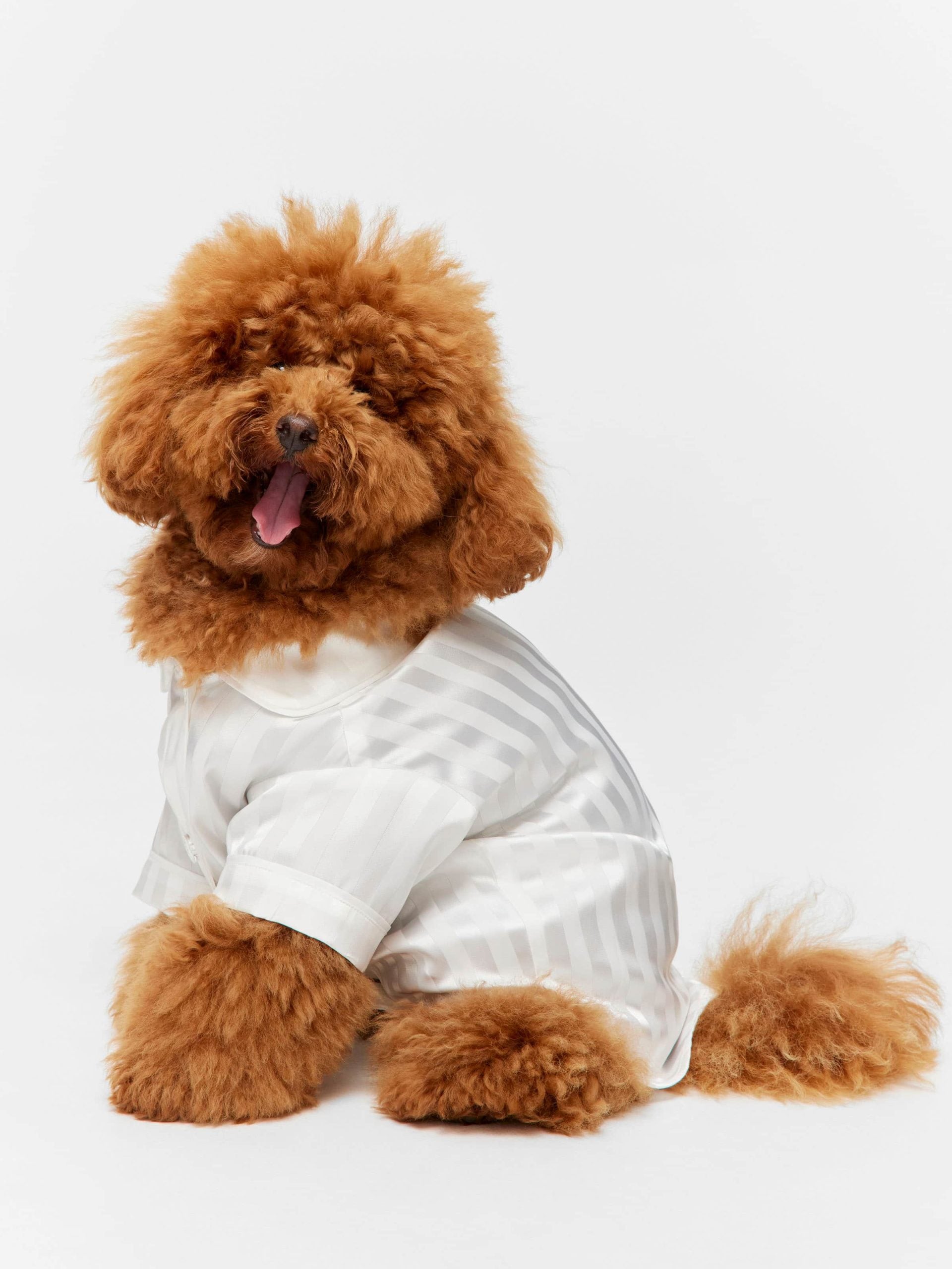 White Stripe Satin Doggie Shirt White image 0