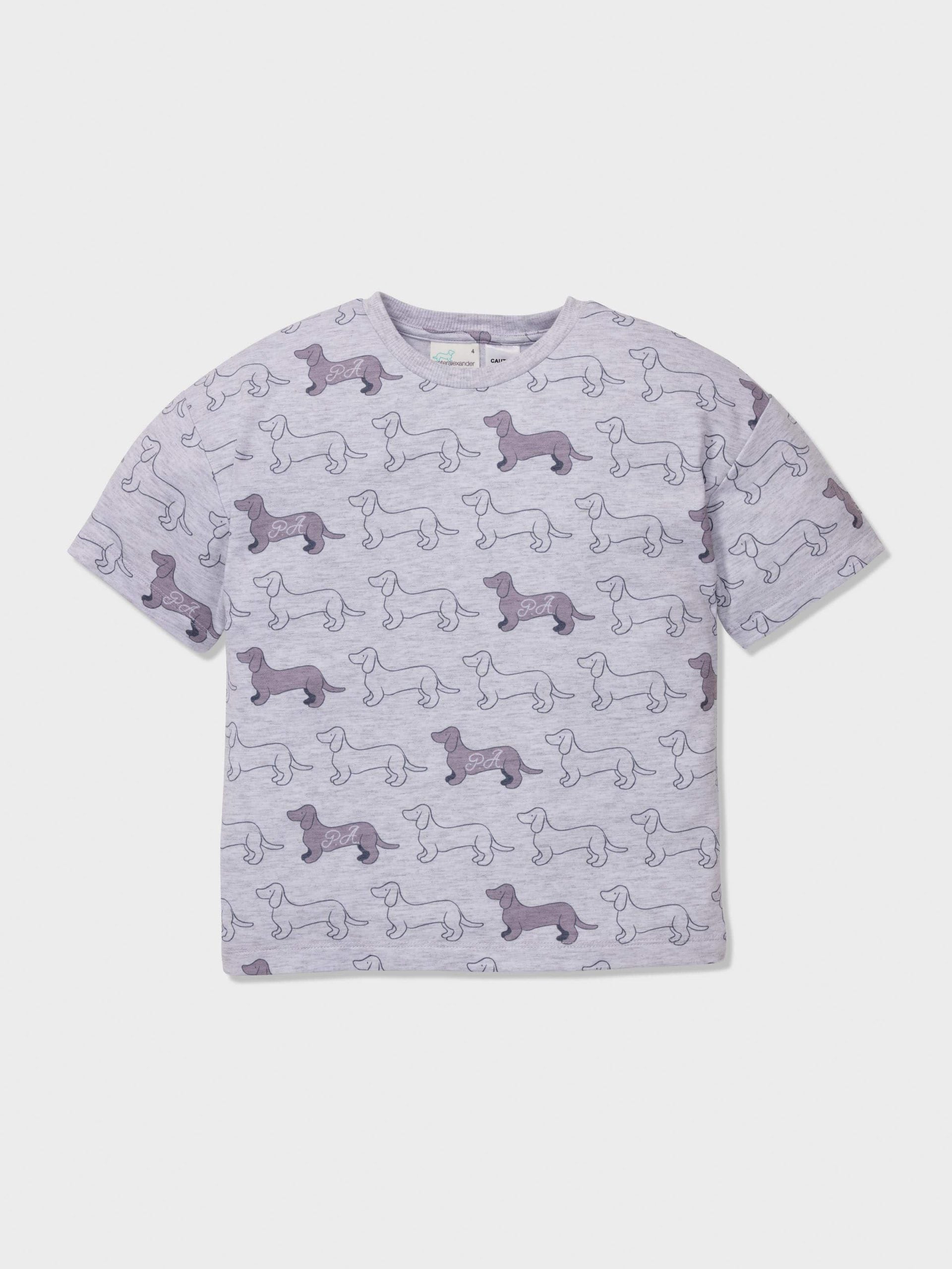 Jnr Boys Penny Print Short Pj Set greymarle image 2