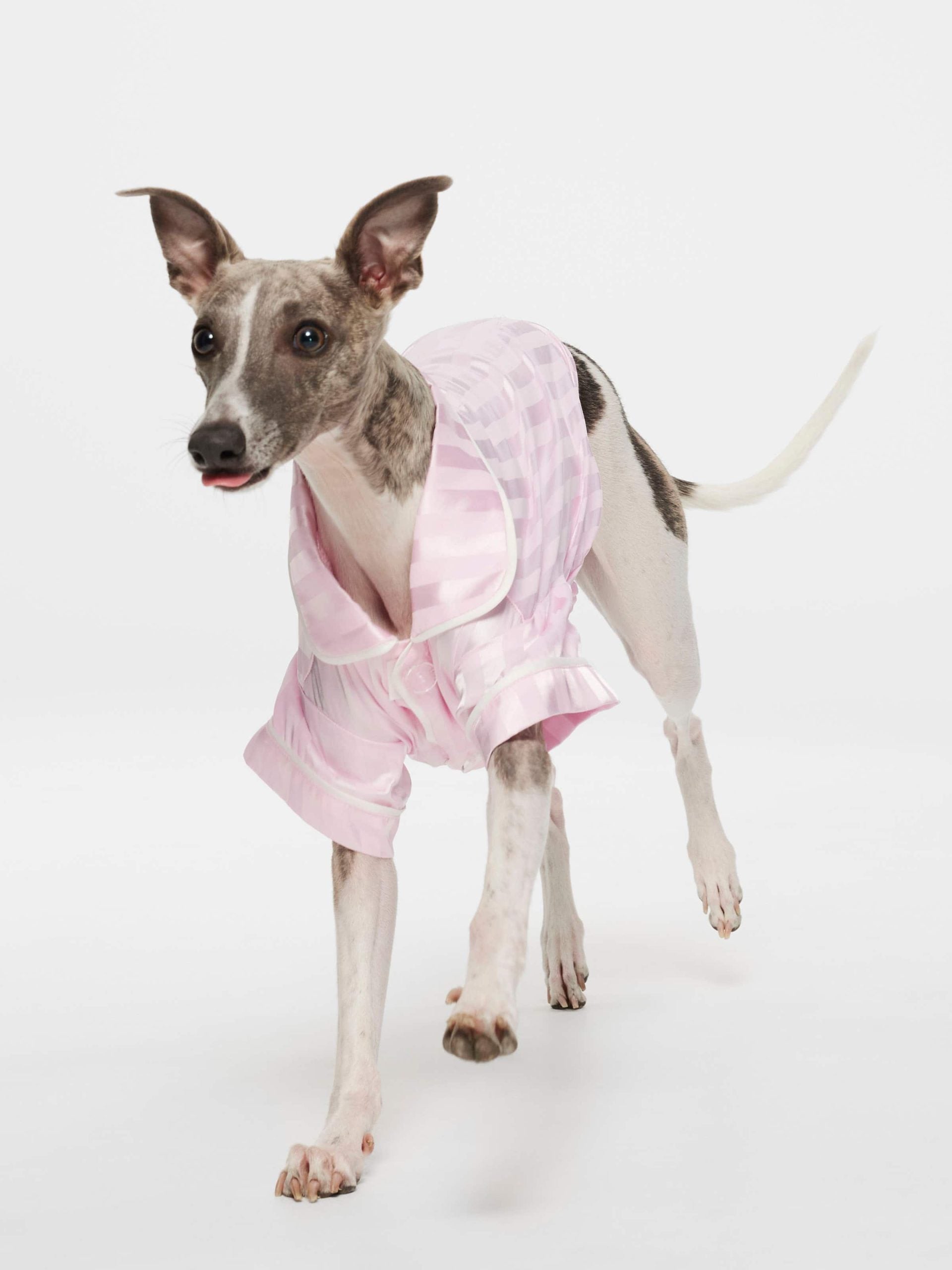 Pink Stripe Satin Doggy Shirt Pale Pink image 3