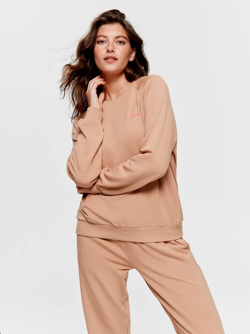 Teddy Fleece Sweater brown image 0