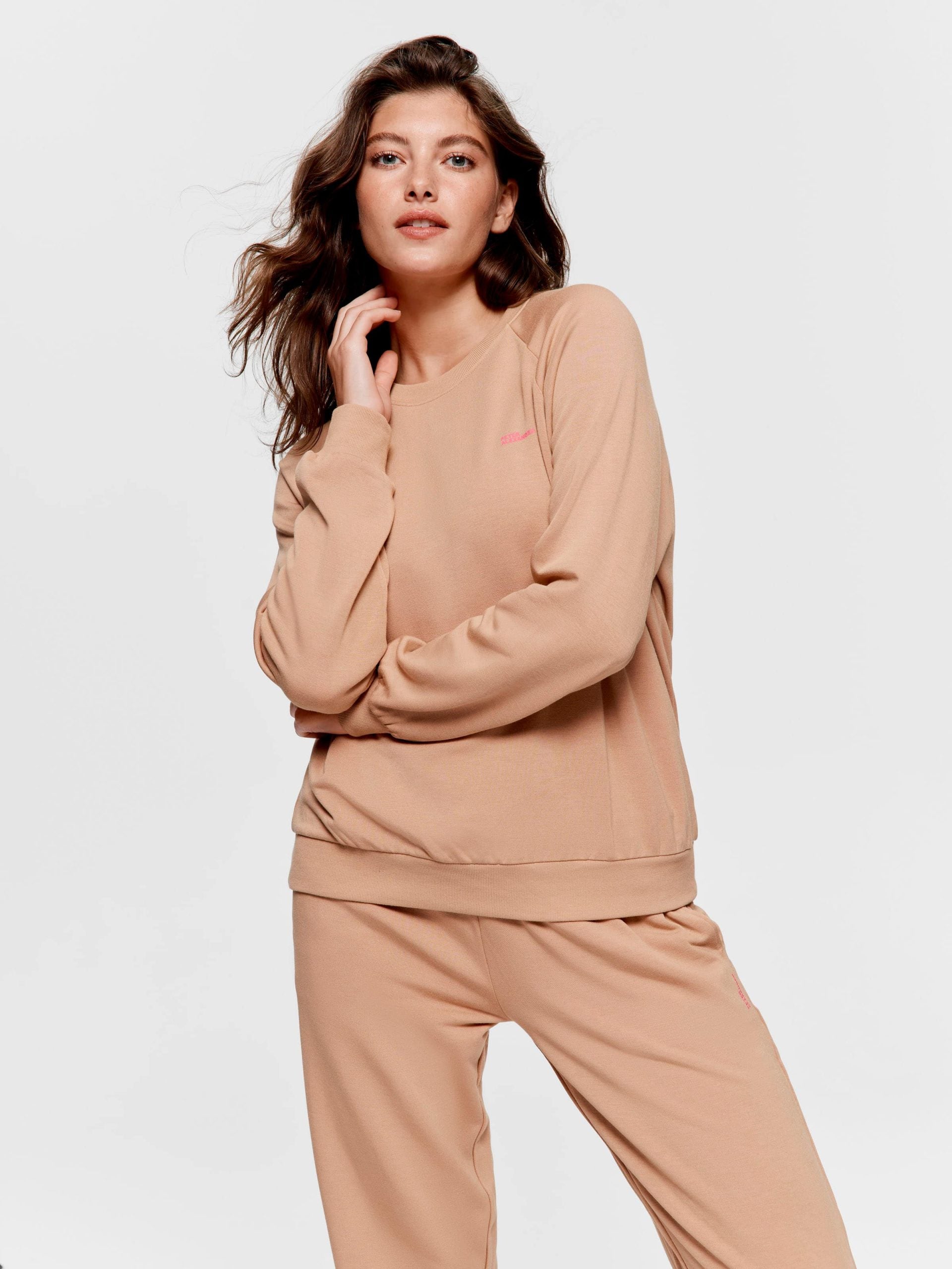 Teddy Fleece Sweater brown image 0