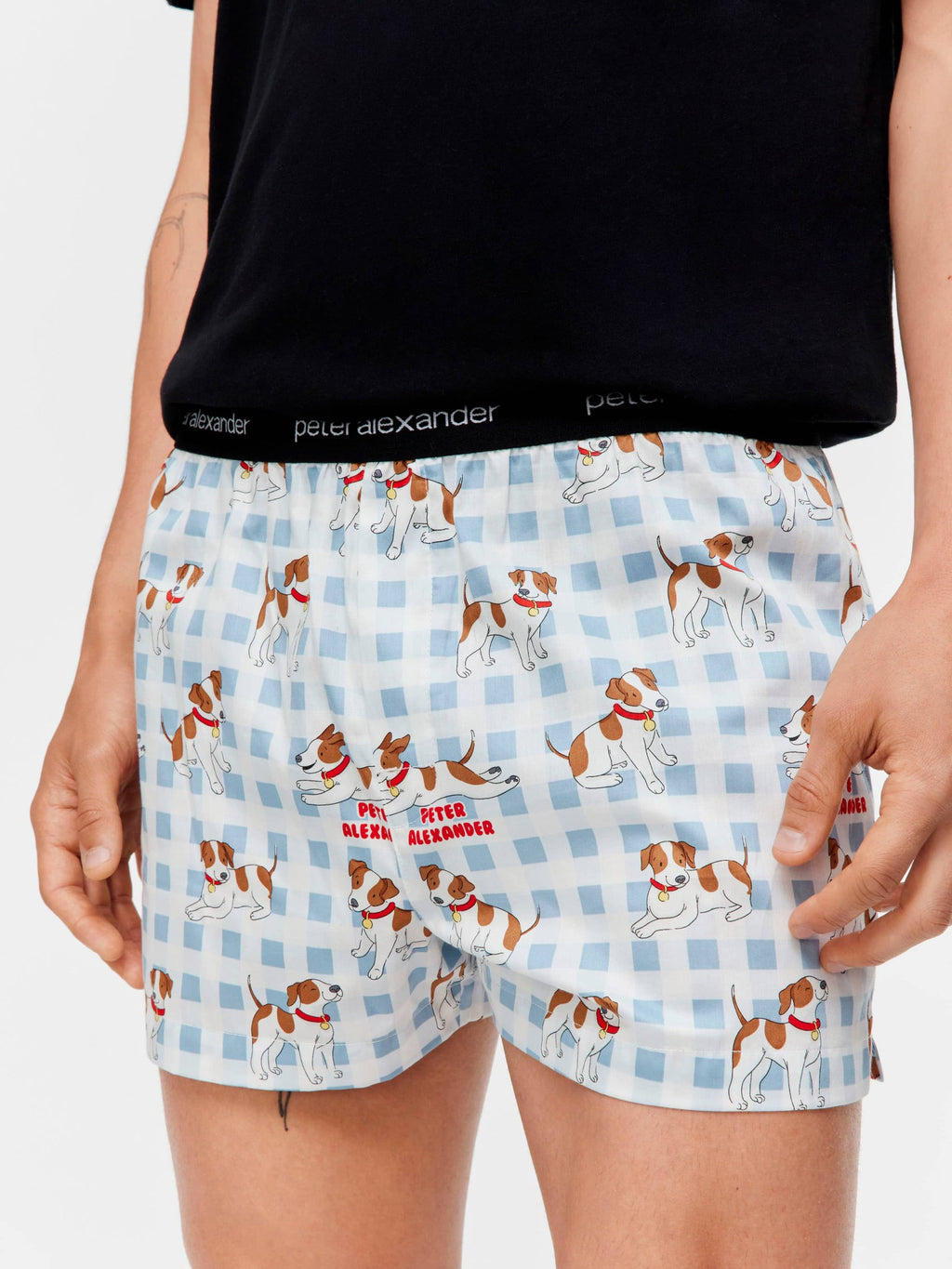 Jack Russell Boxer Short multi image 1