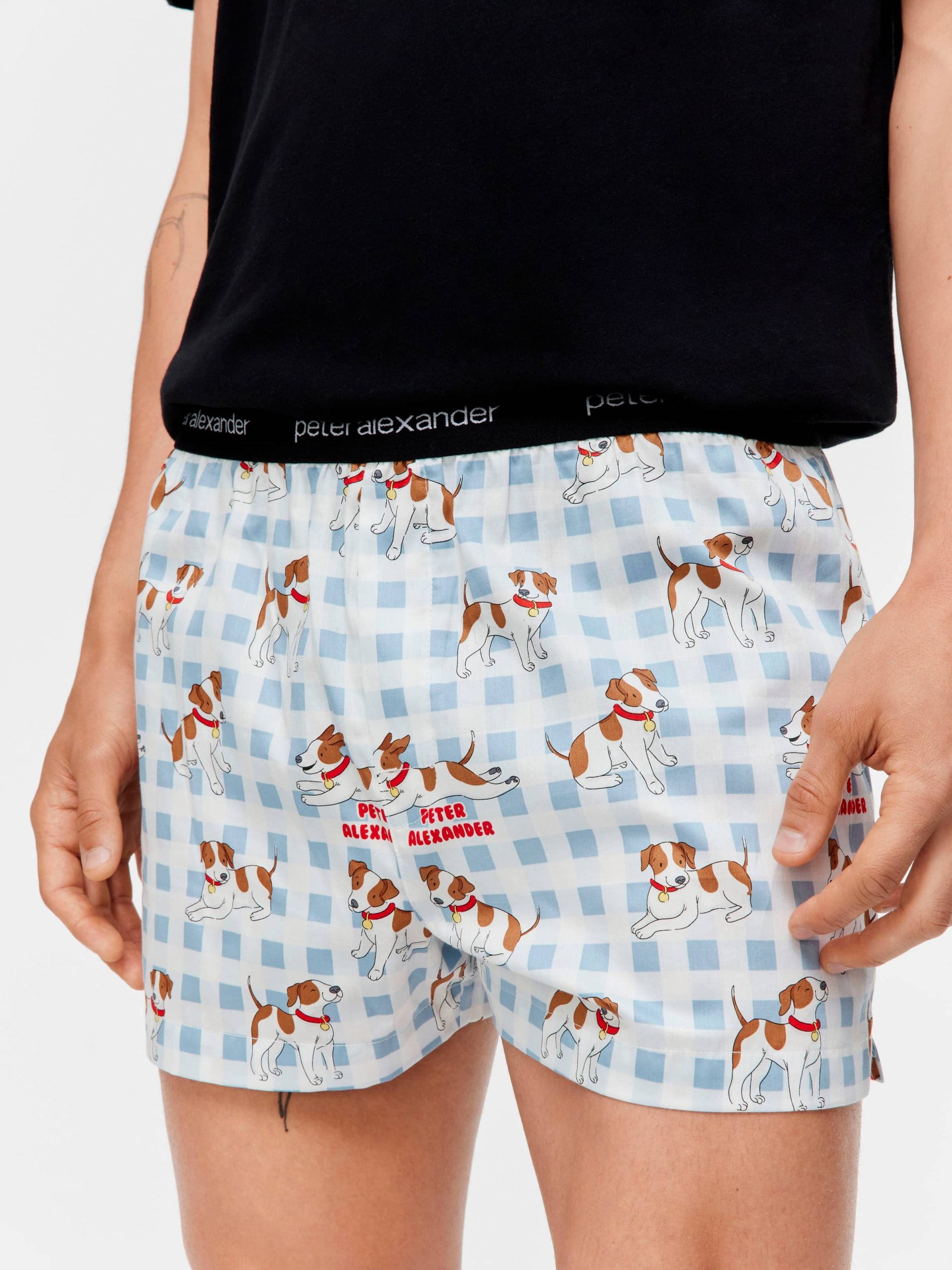 Jack Russell Boxer Short multi image 1