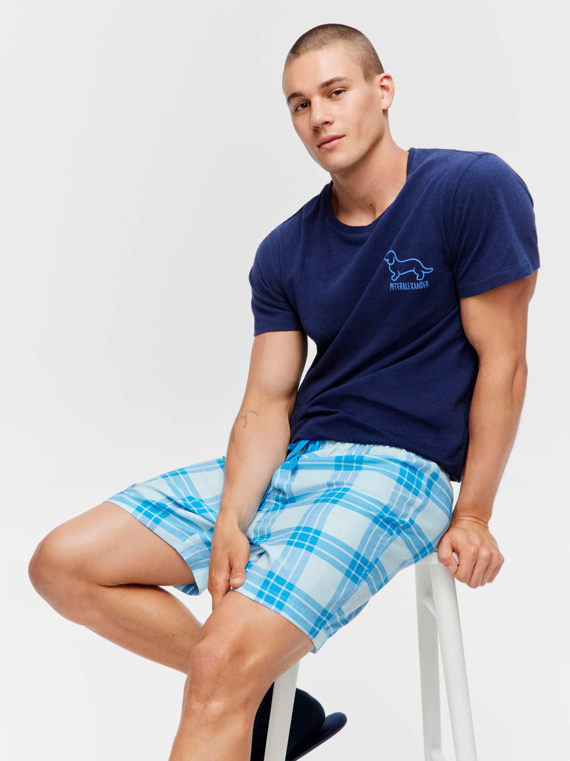 Blue  Windowpane Mid Short multi image 0