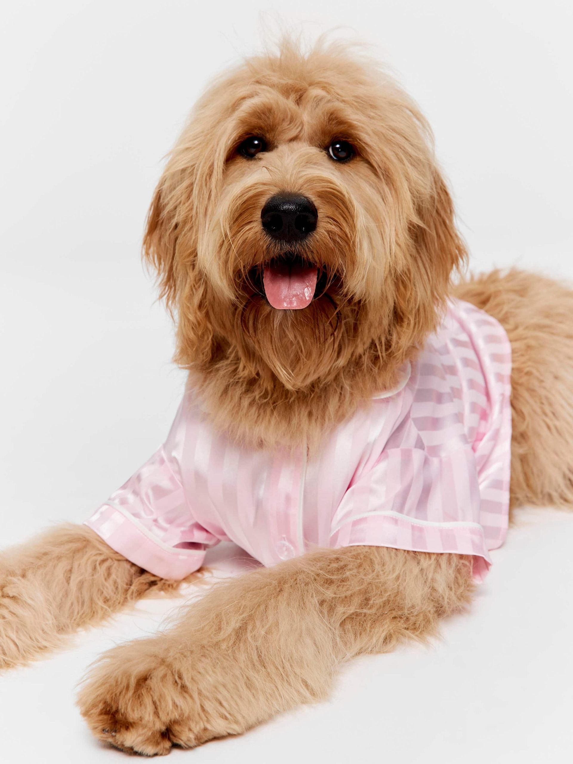 Pink Stripe Satin Doggy Shirt Pale Pink image 0