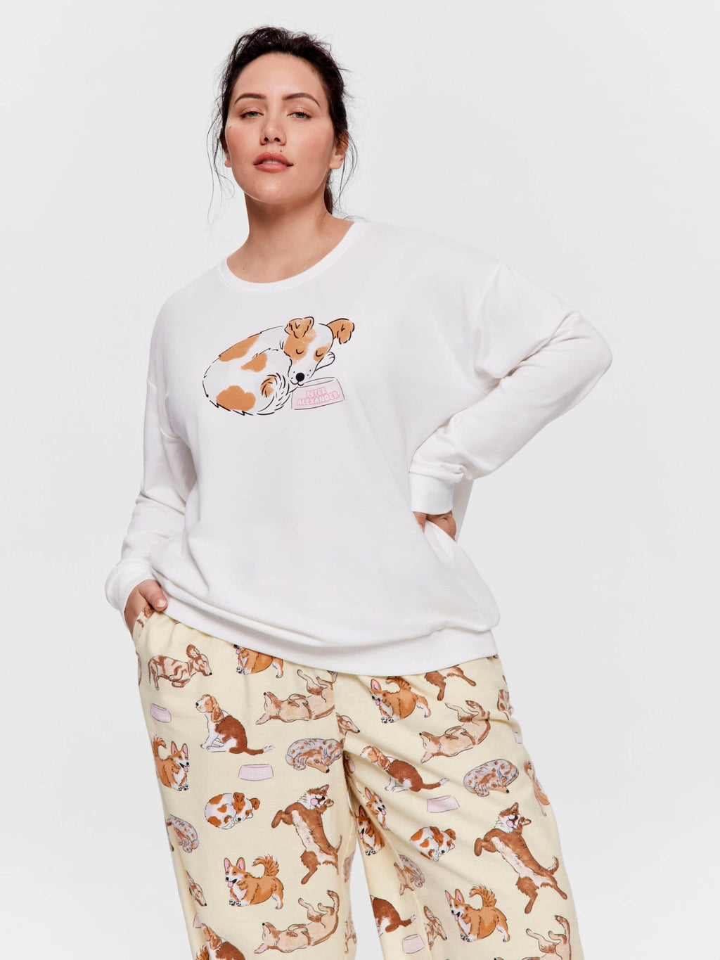 P.A. Plus Doggie Sweater Cream image 1