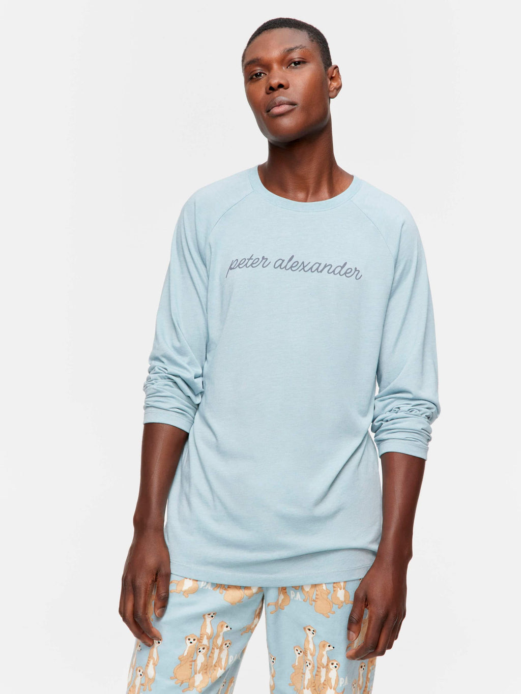 P.A Long Sleeve Top sage image 1