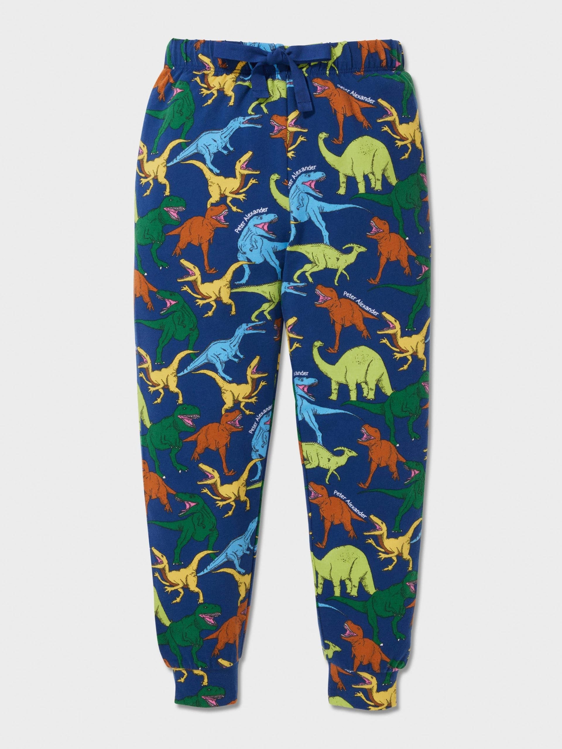 Jnr Boys Dino Long Pj Set multi image 1