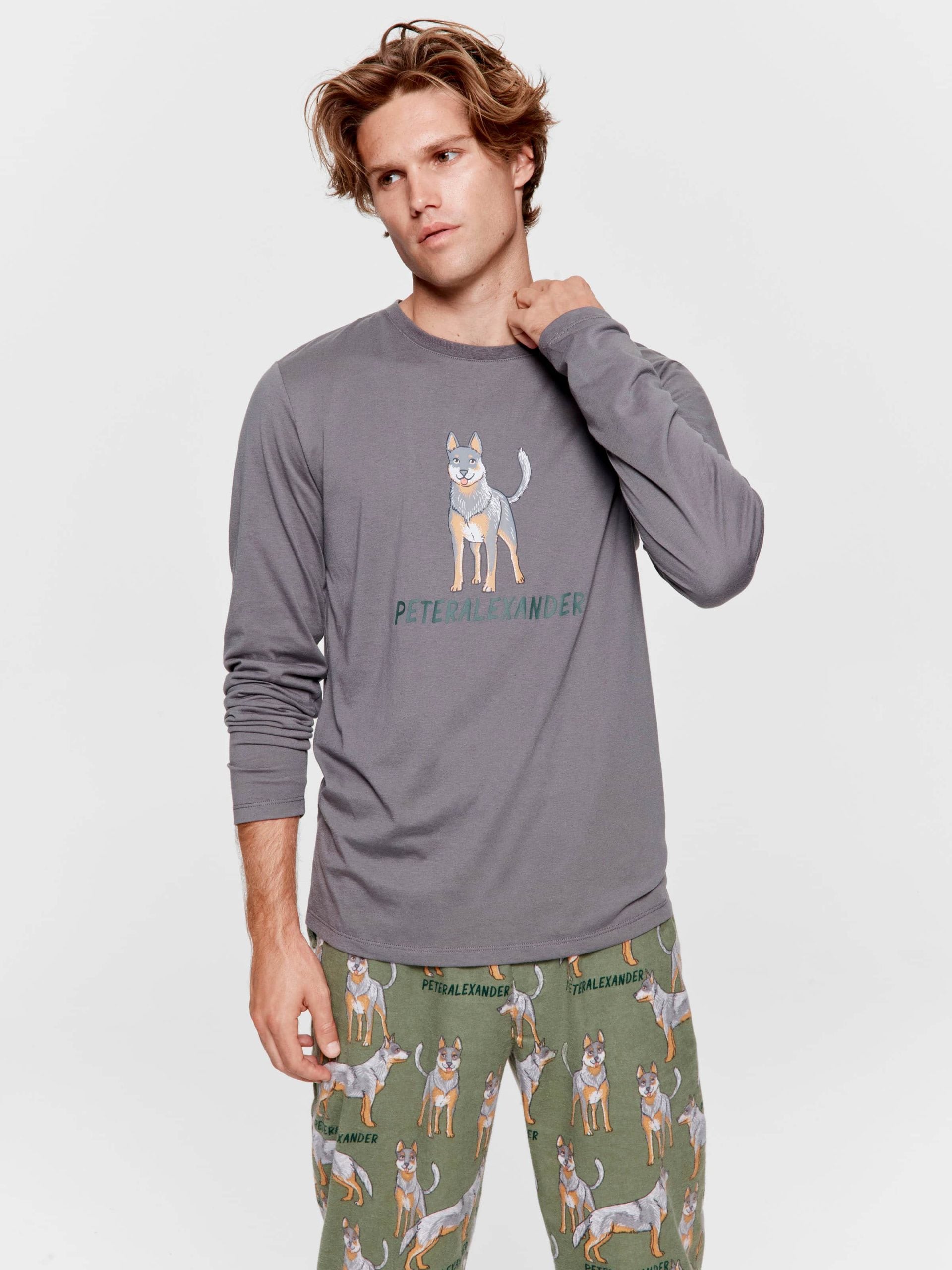 Blue Heeler Long Sleeve Top grey image 1