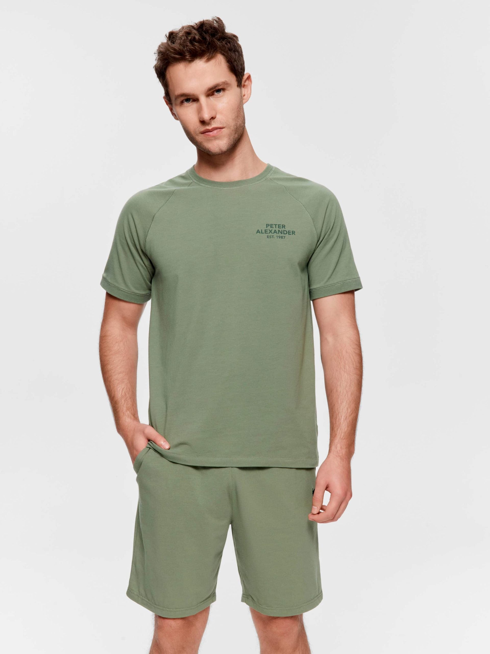 Olive Raglan Tee Green image 0