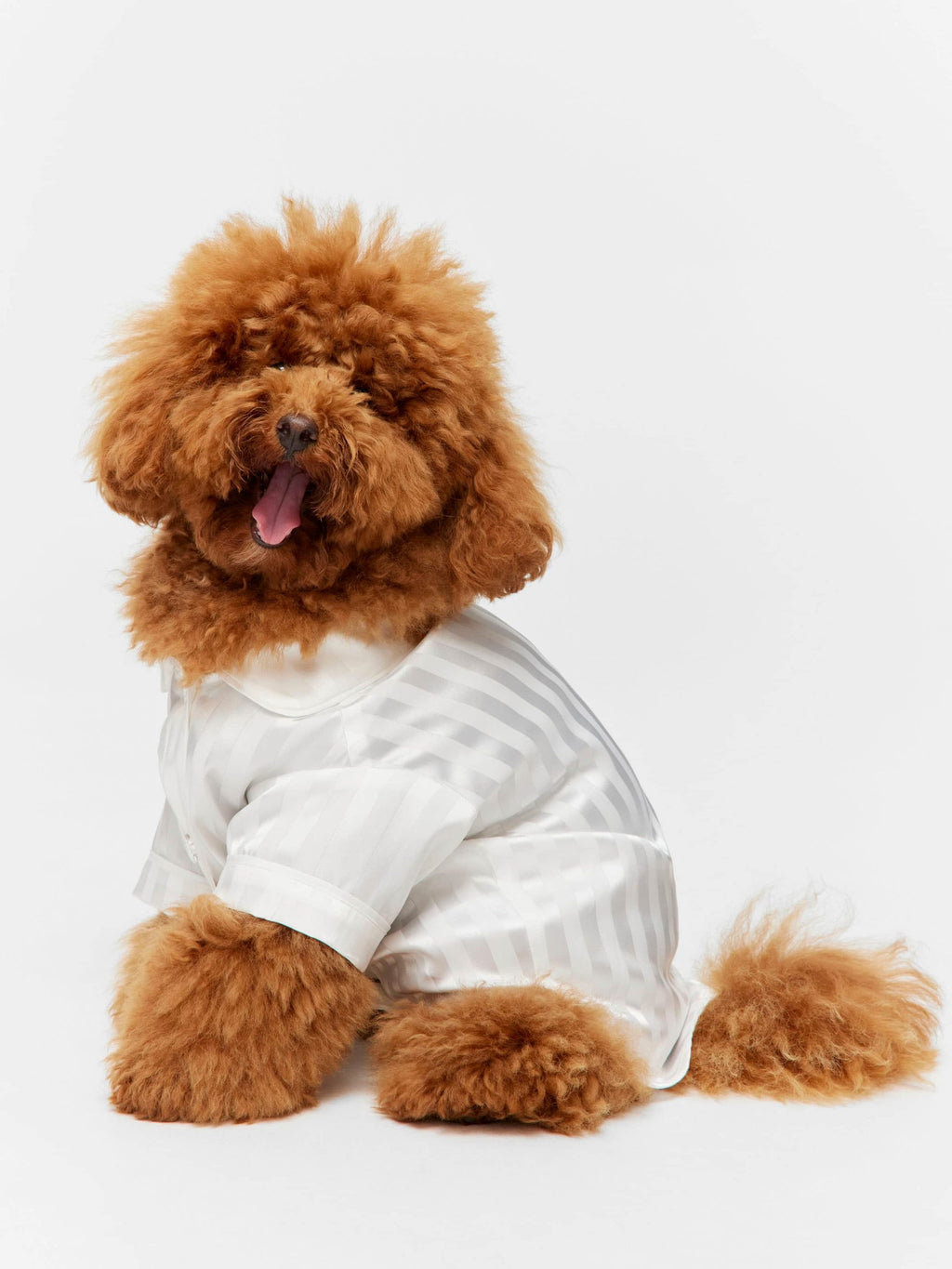 White Stripe Satin Doggie Shirt White image 0