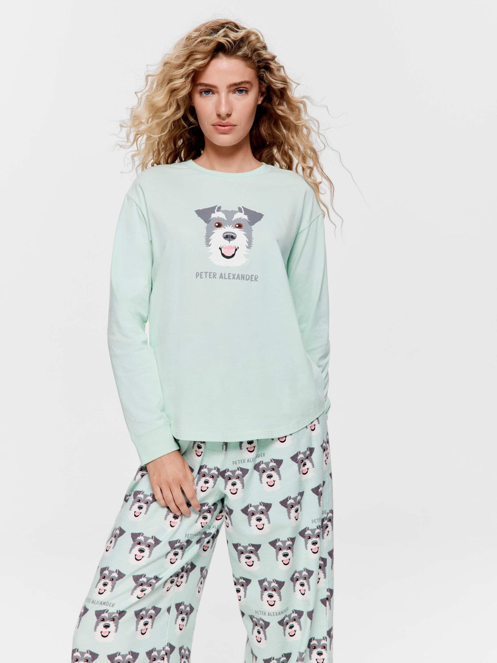 Schnauzer Sweater Mint image 0