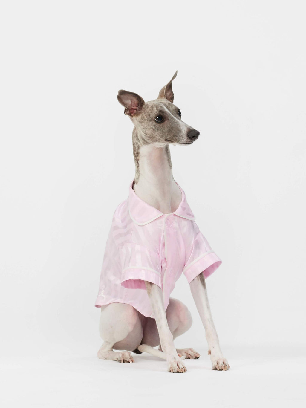 Pink Stripe Satin Doggy Shirt Pale Pink image 2