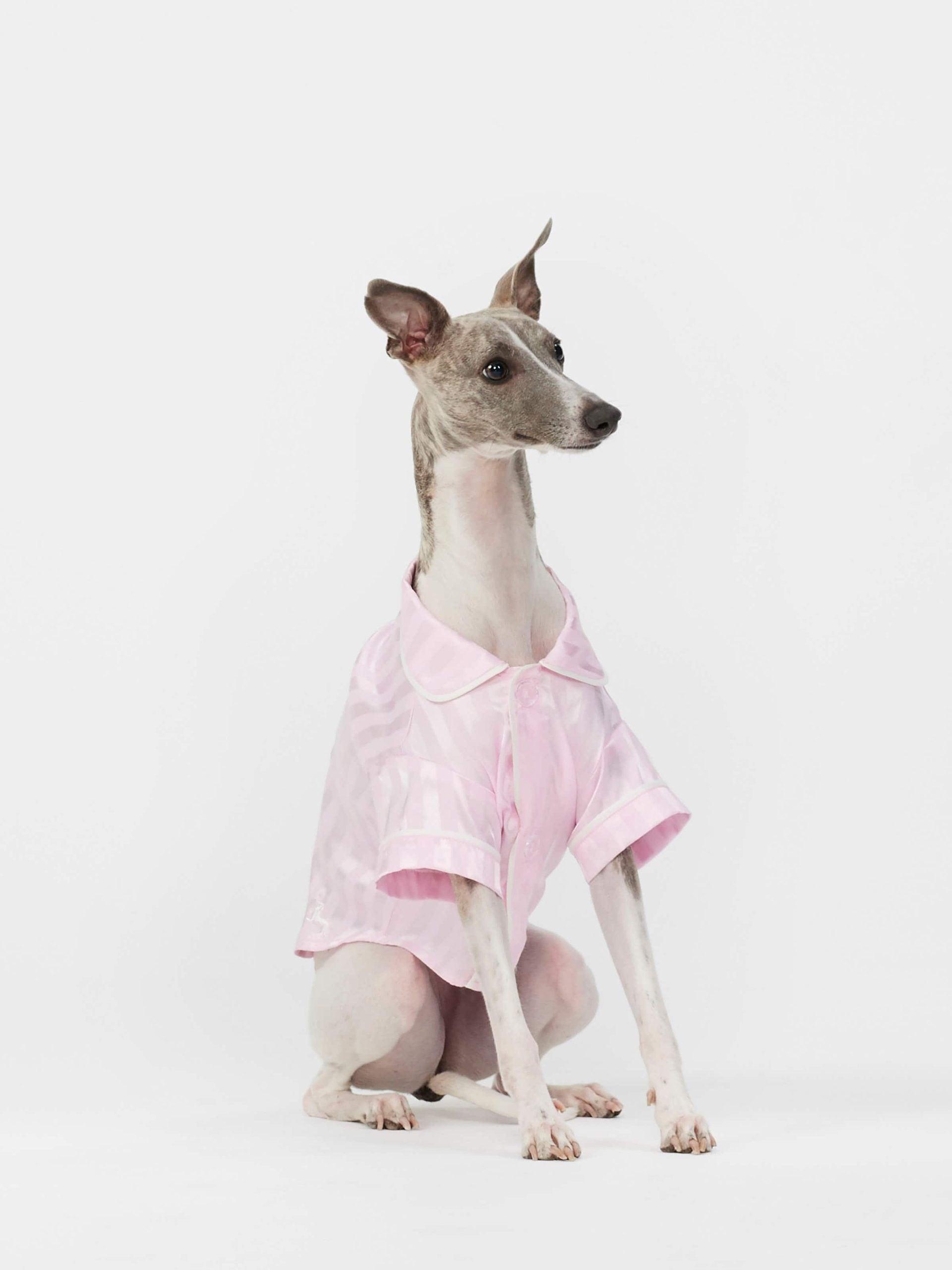 Pink Stripe Satin Doggy Shirt Pale Pink image 2
