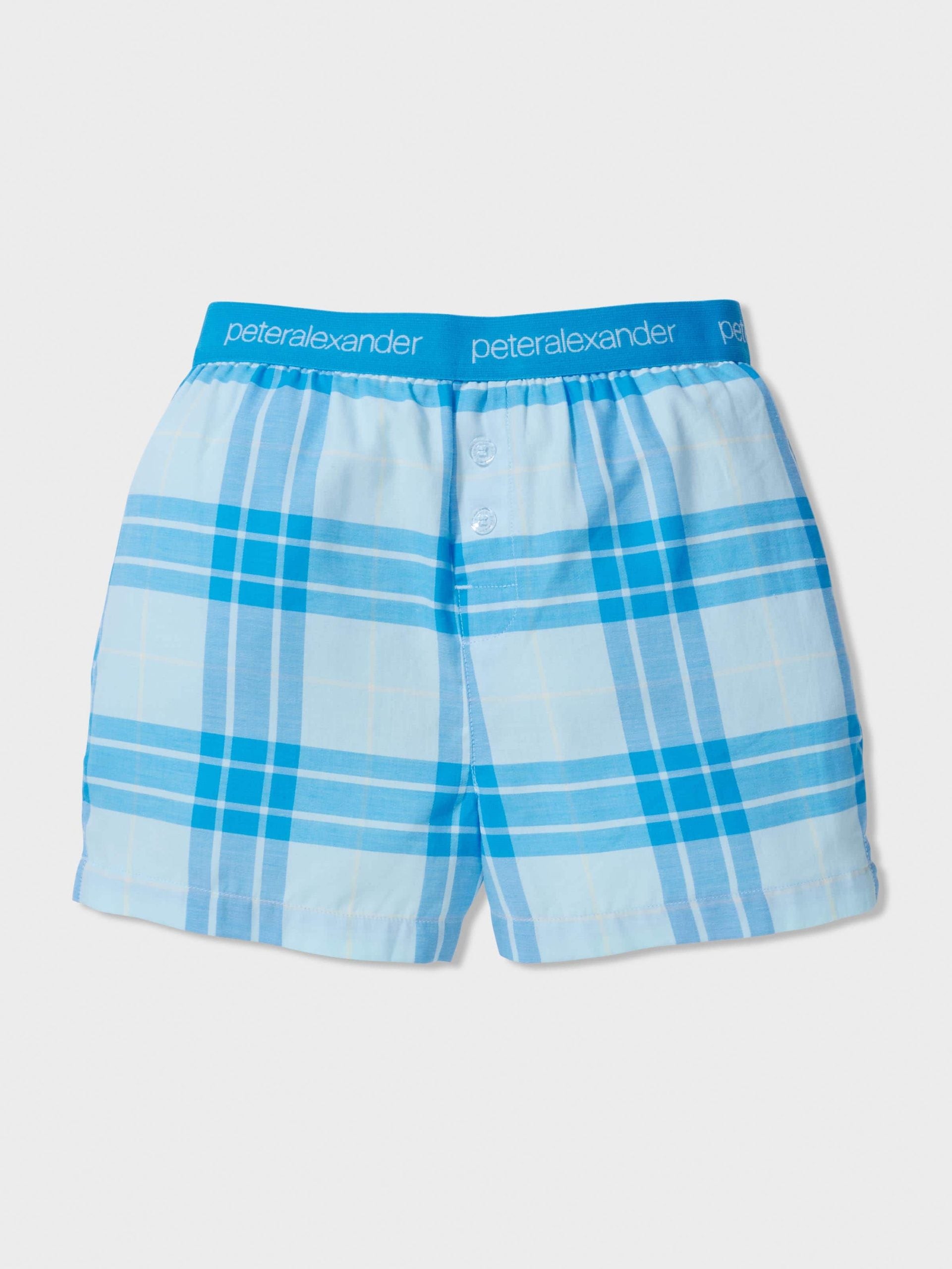 Boys Blue Check Pj Set multi image 1