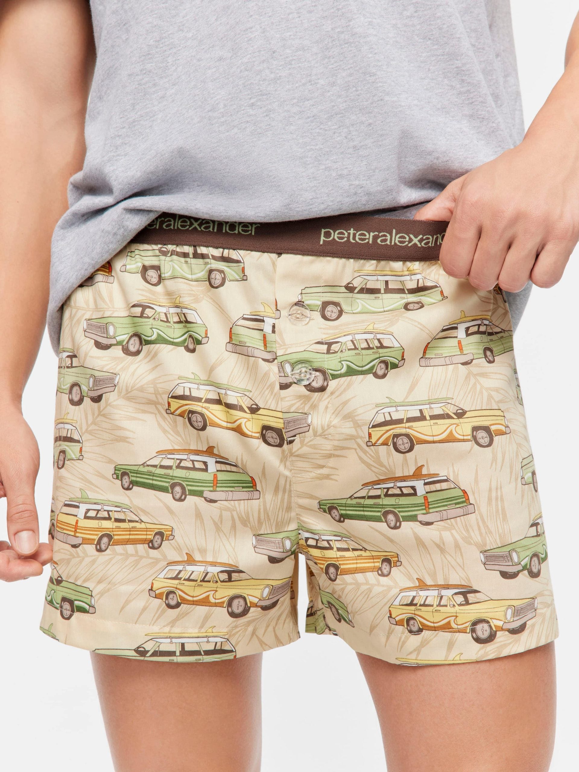Beach Van Boxer Short multi image 1