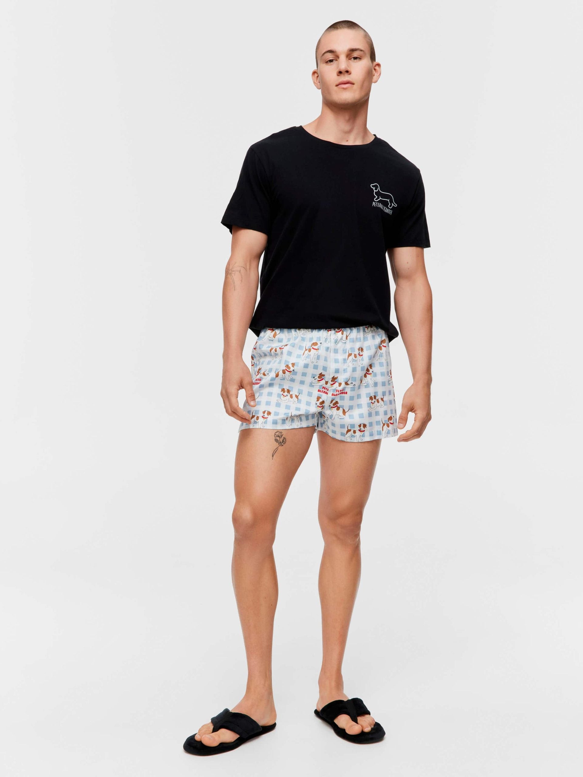 Jack Russell Boxer Short multi image 0