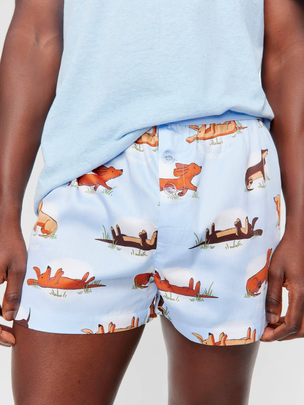 Spot Penny Boxer Short multi image 1