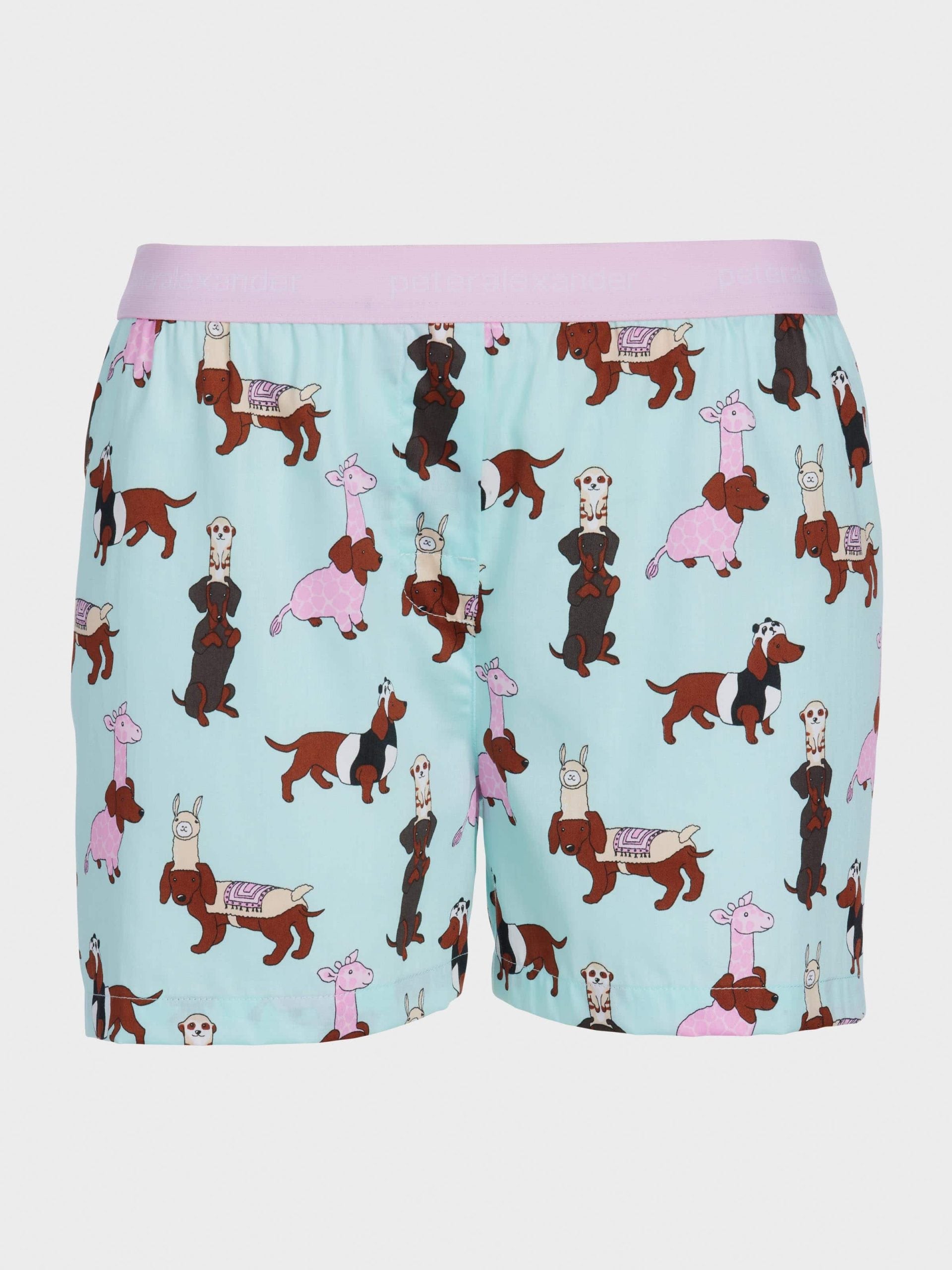 Dress Up Dogs Boxer Short multi image 3