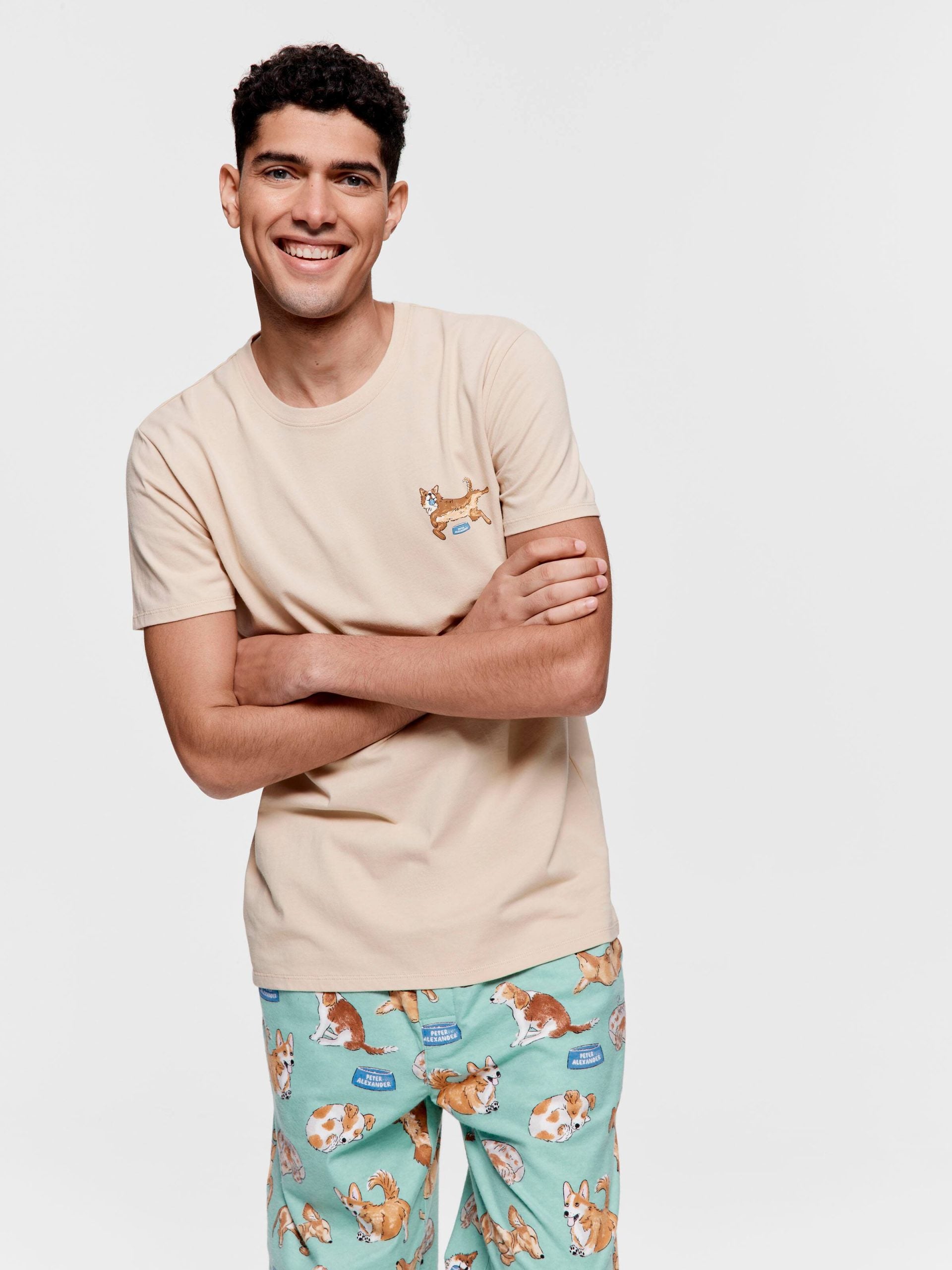 Go Fetch Tee caramel image 0