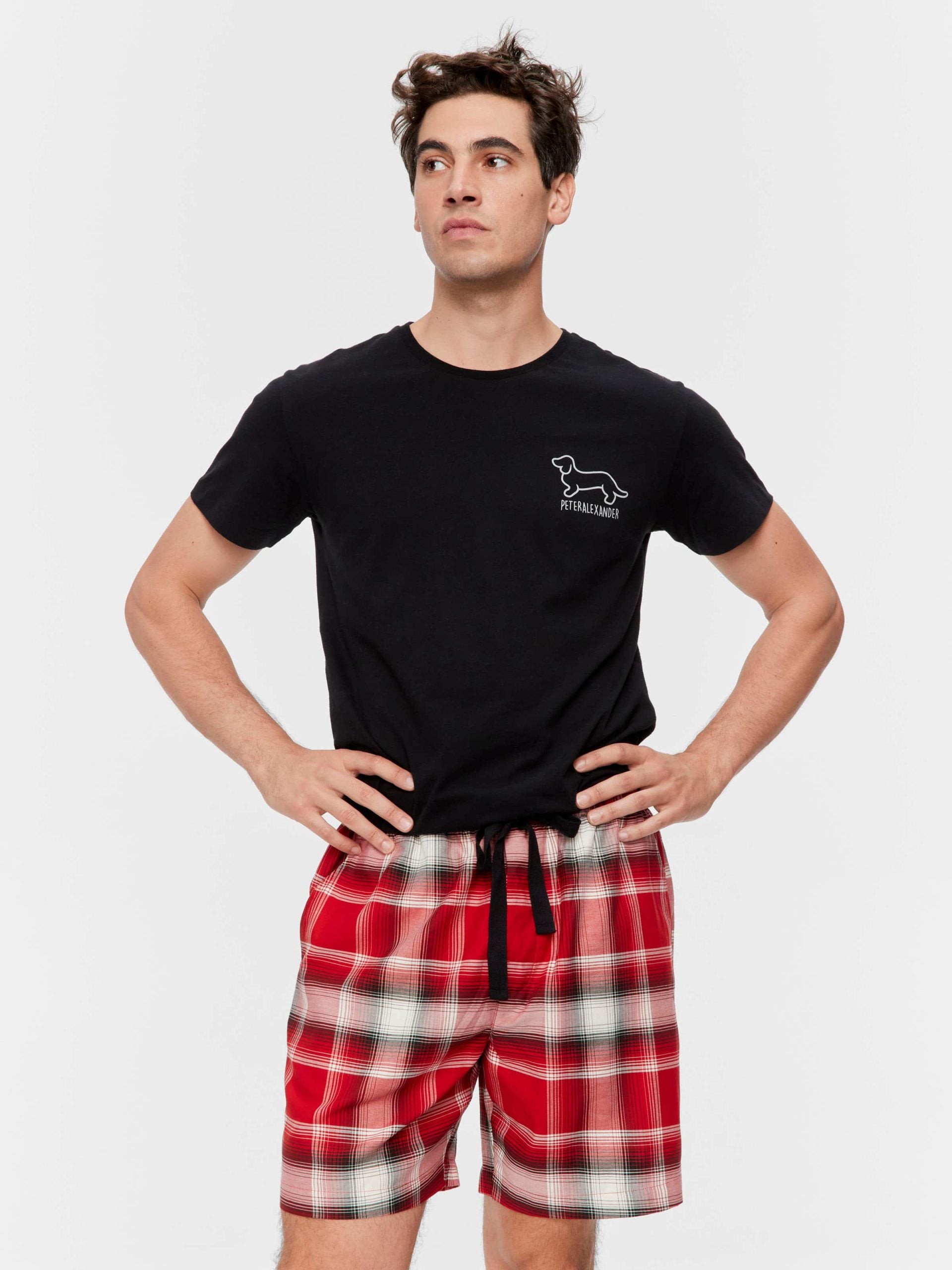 Western Check Mid Short Multi image 2