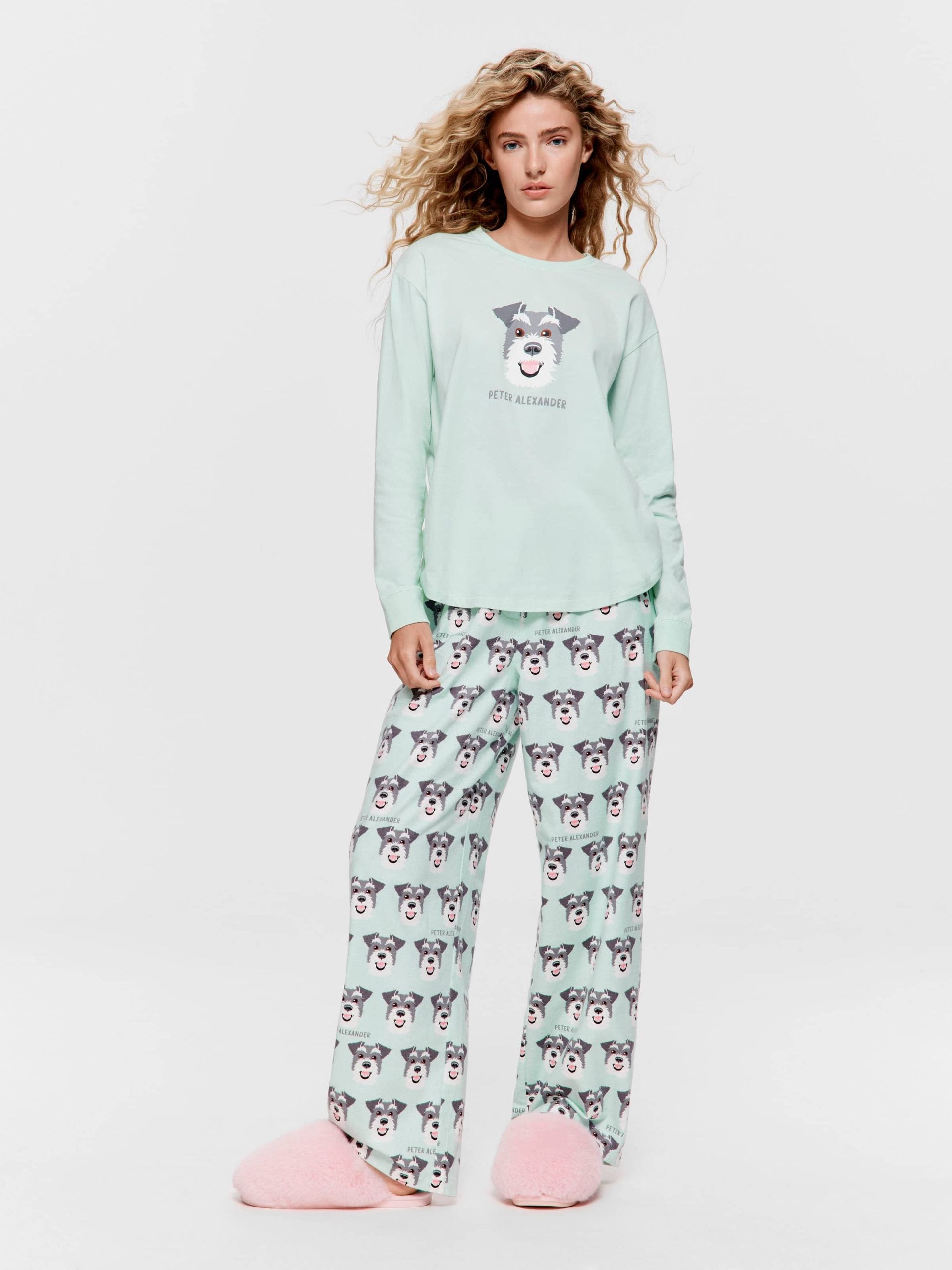 Schnauzer Sweater Mint image 1
