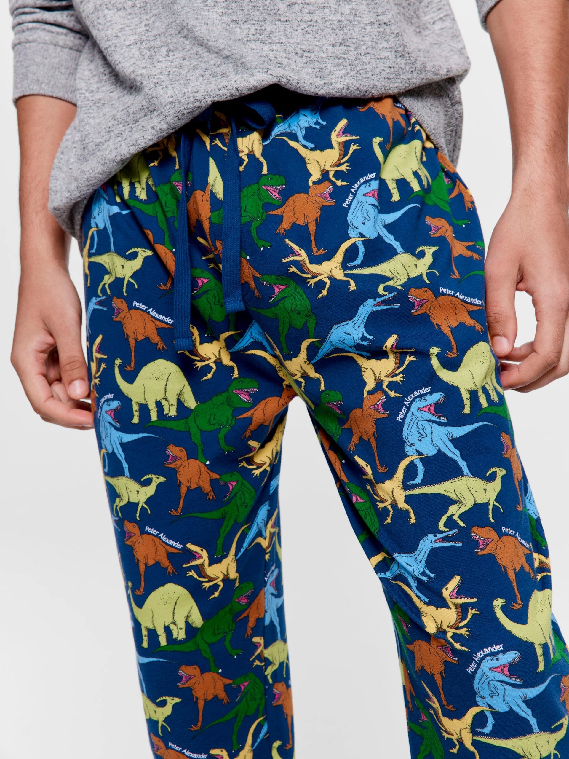 Dino Jogger Pj Pant multi image 1