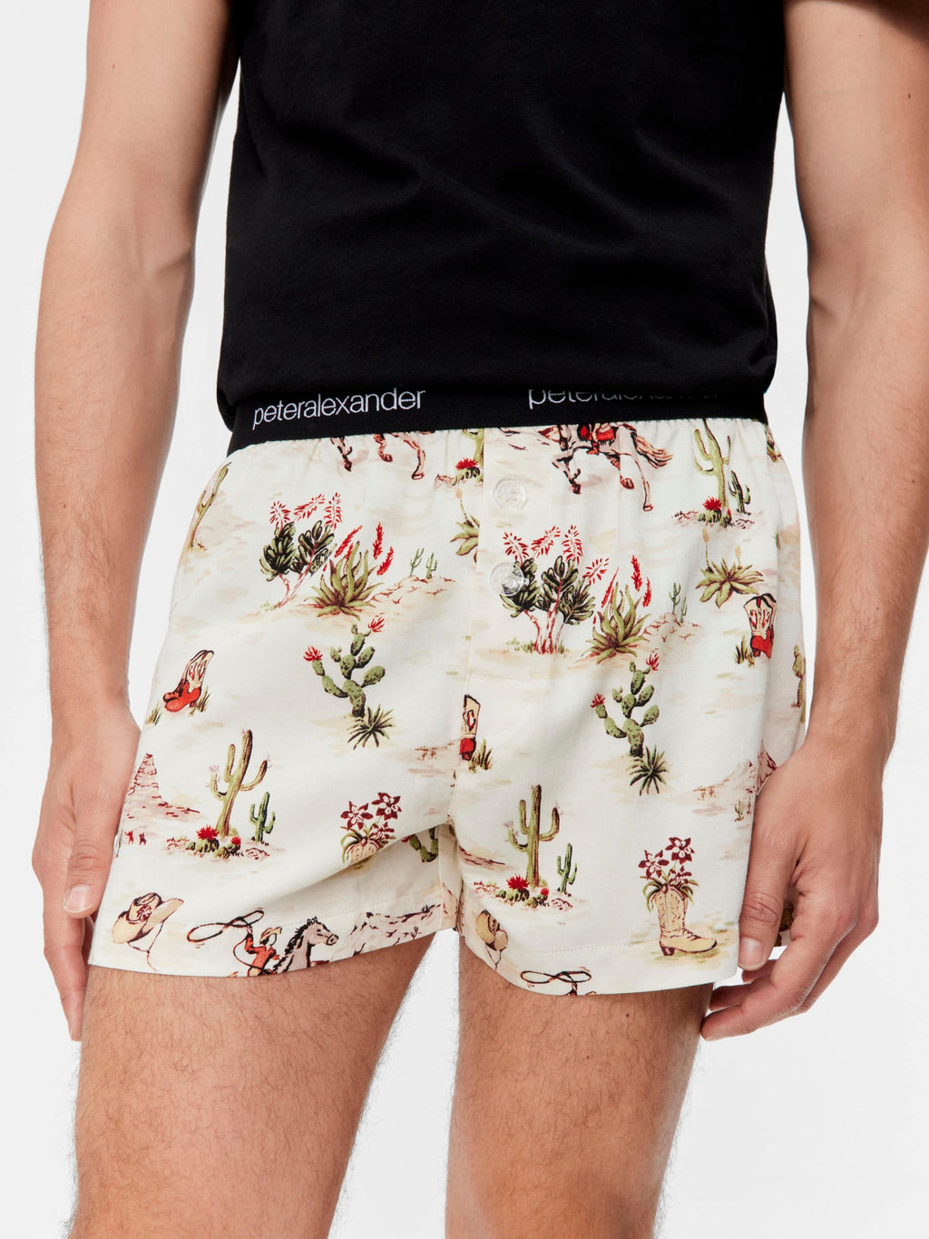 Old Western Boxer Short Multi image 0