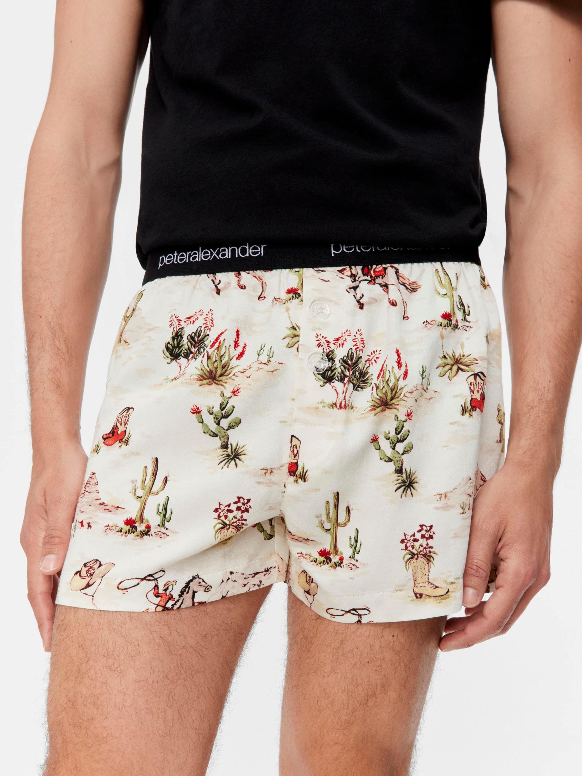 Old Western Boxer Short Multi image 0