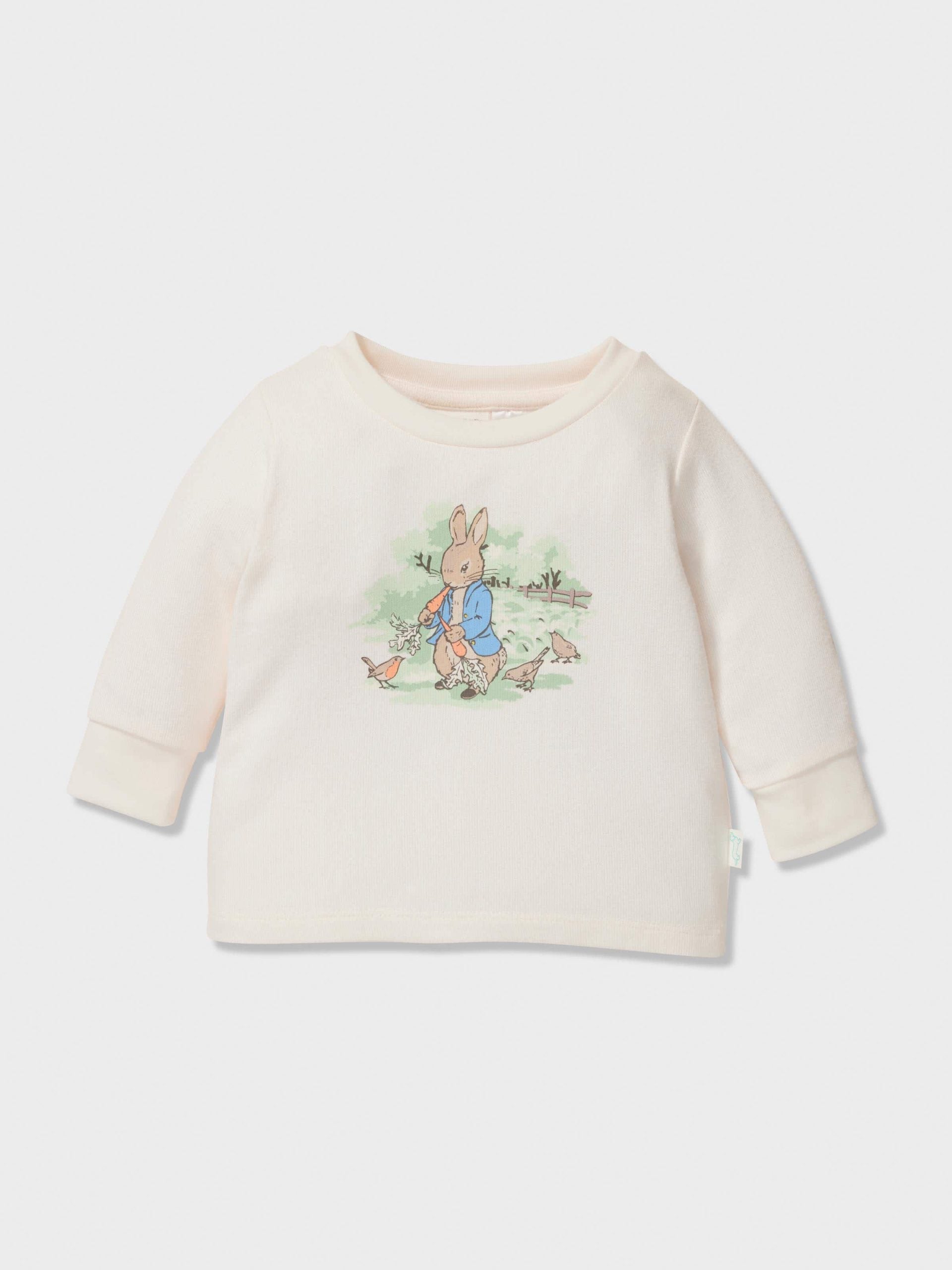 Baby Peter Rabbit Print Pj Set multi image 2