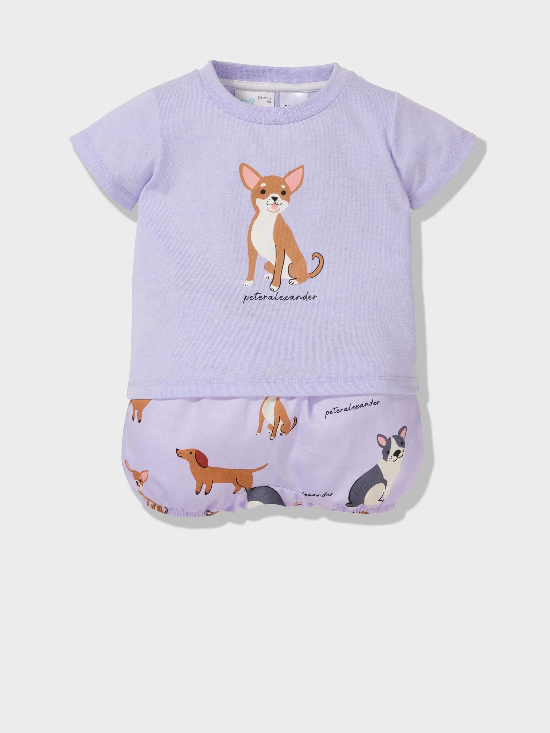 Baby Chihuahua Pj Set Lilac image 0
