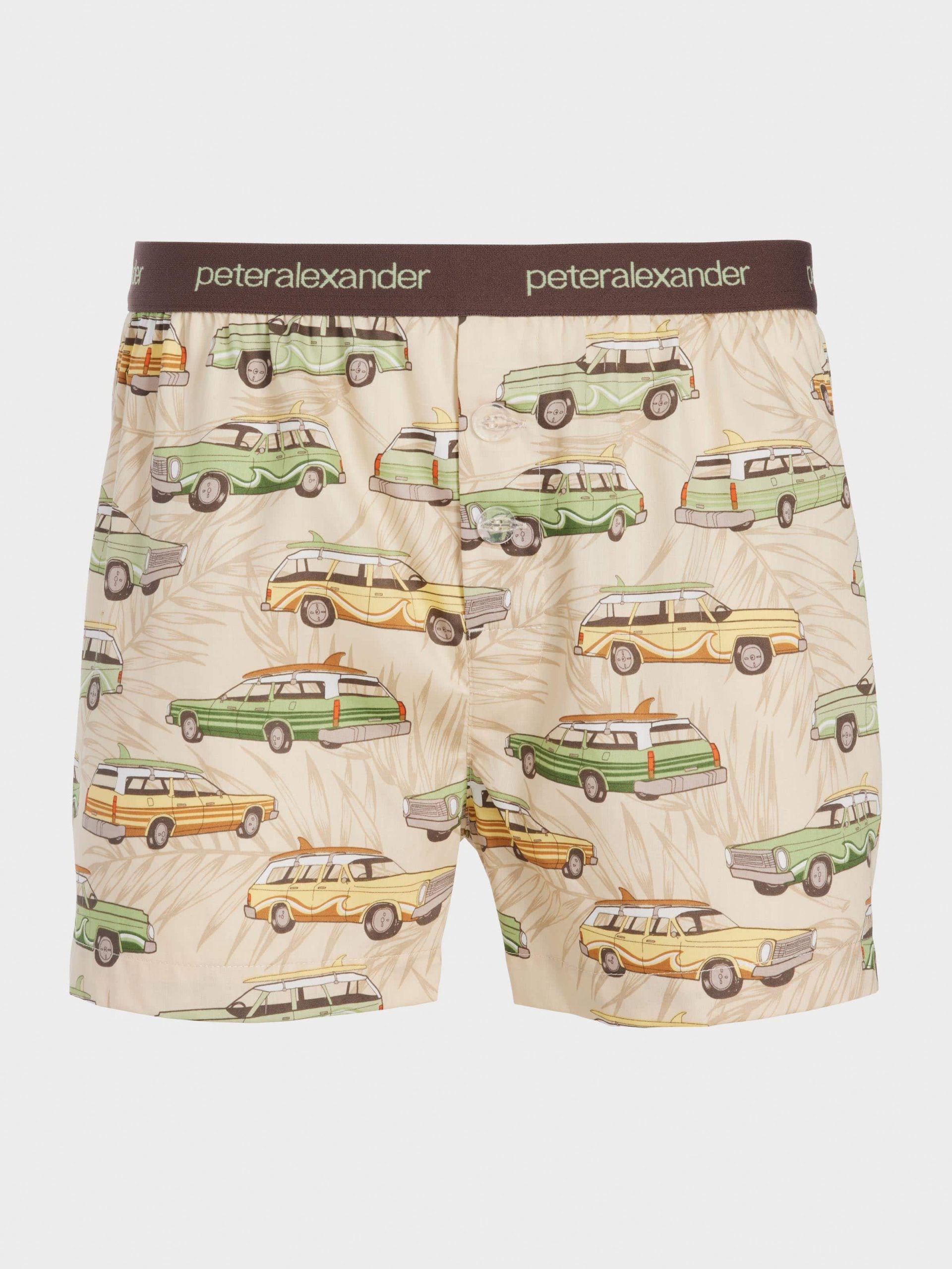 Beach Van Boxer Short multi image 3
