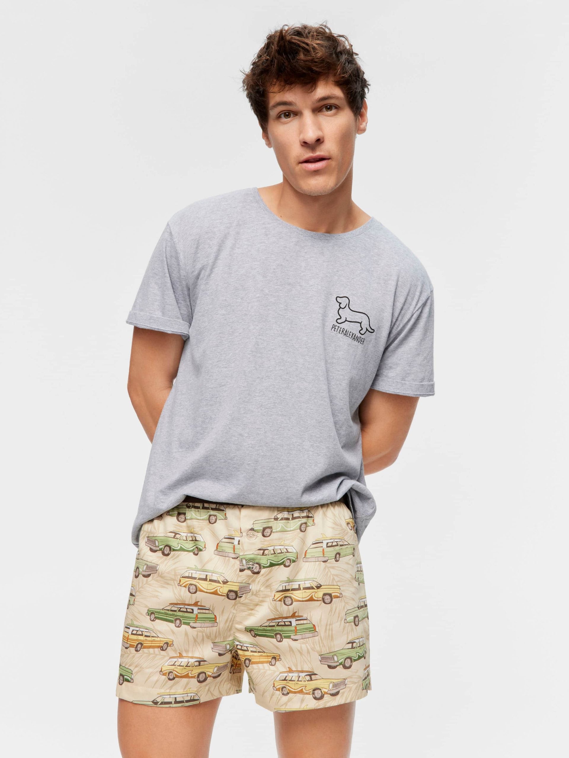 Beach Van Boxer Short multi image 2