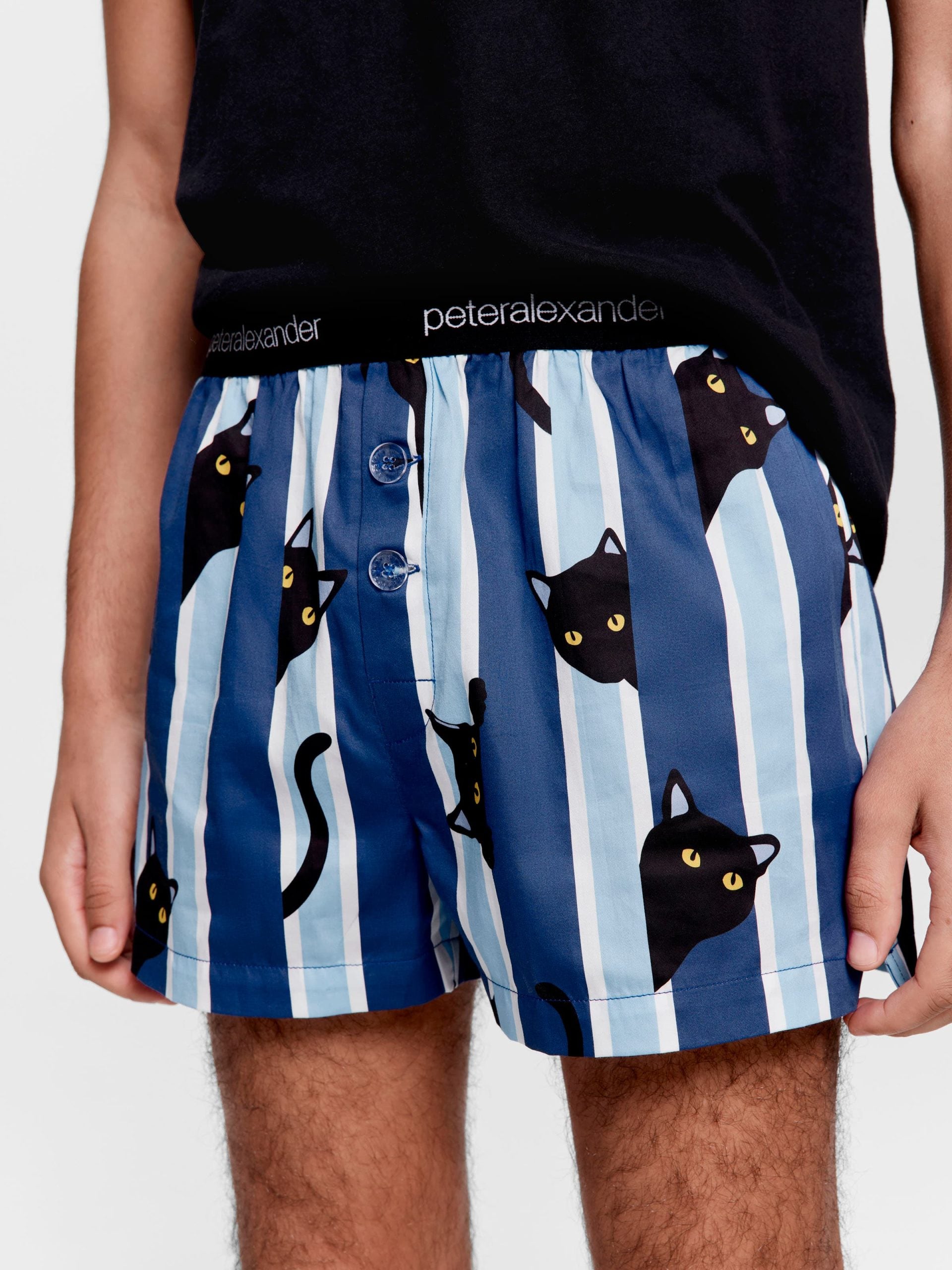 Sneaky Cat Boxer Short multi image 1