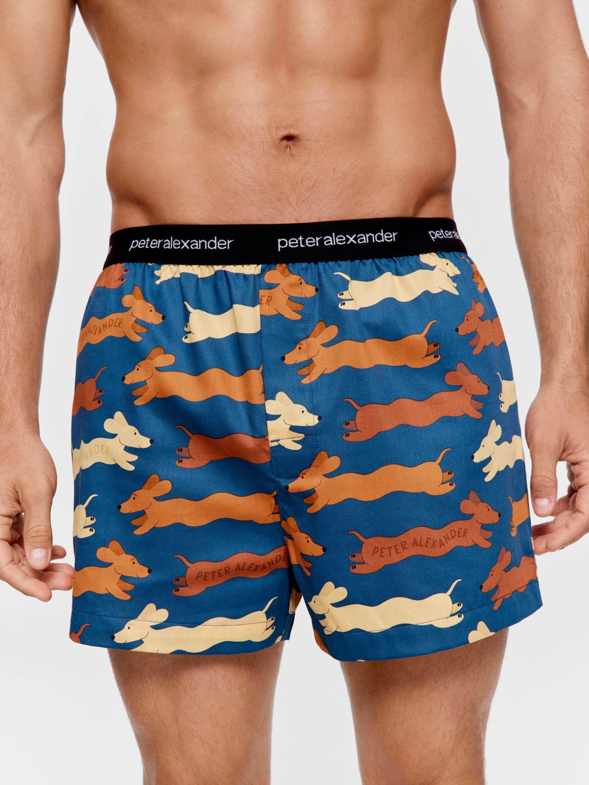 Wavy Penny Boxer Short multi image 2