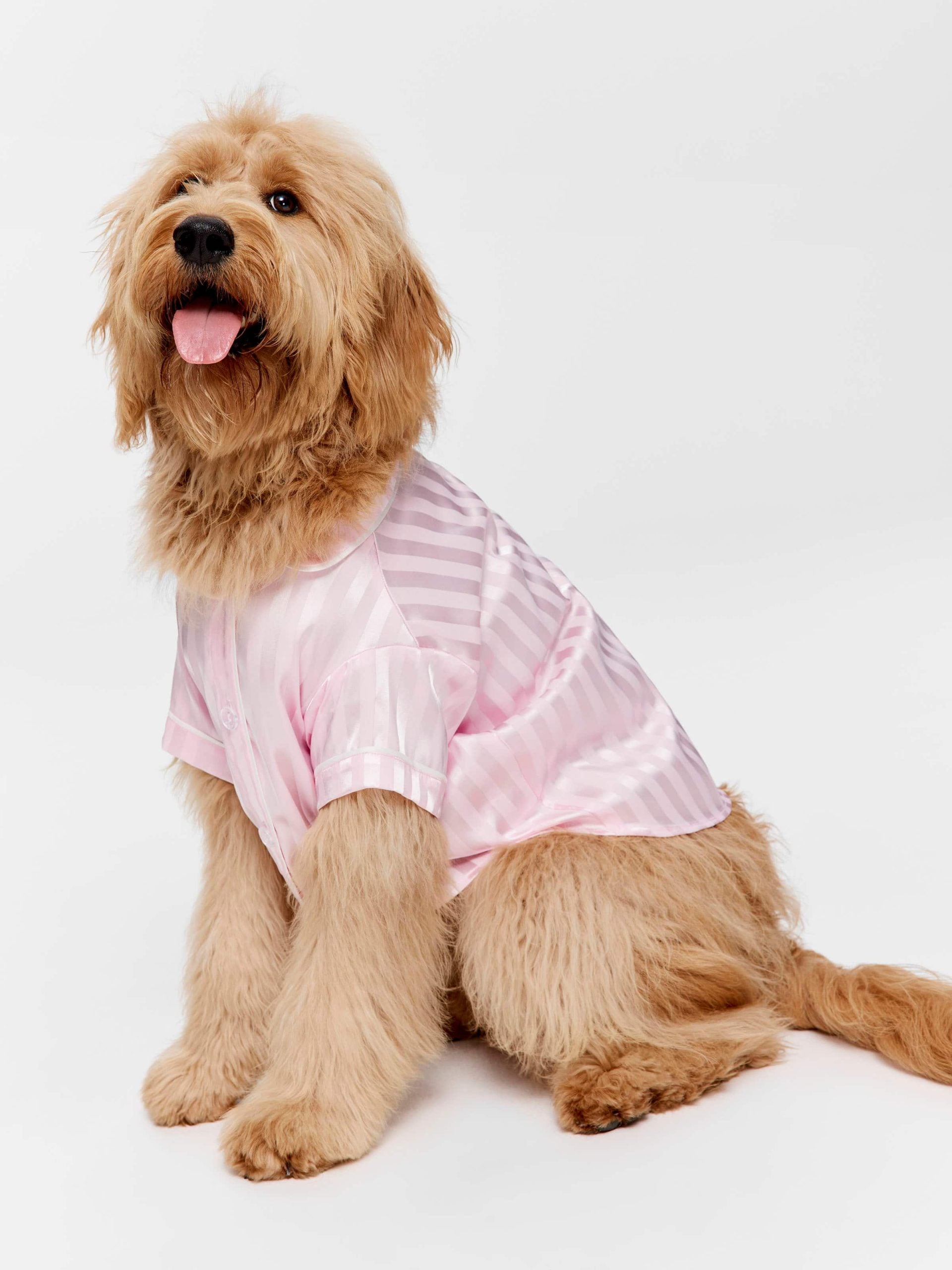 Pink Stripe Satin Doggy Shirt Pale Pink image 1