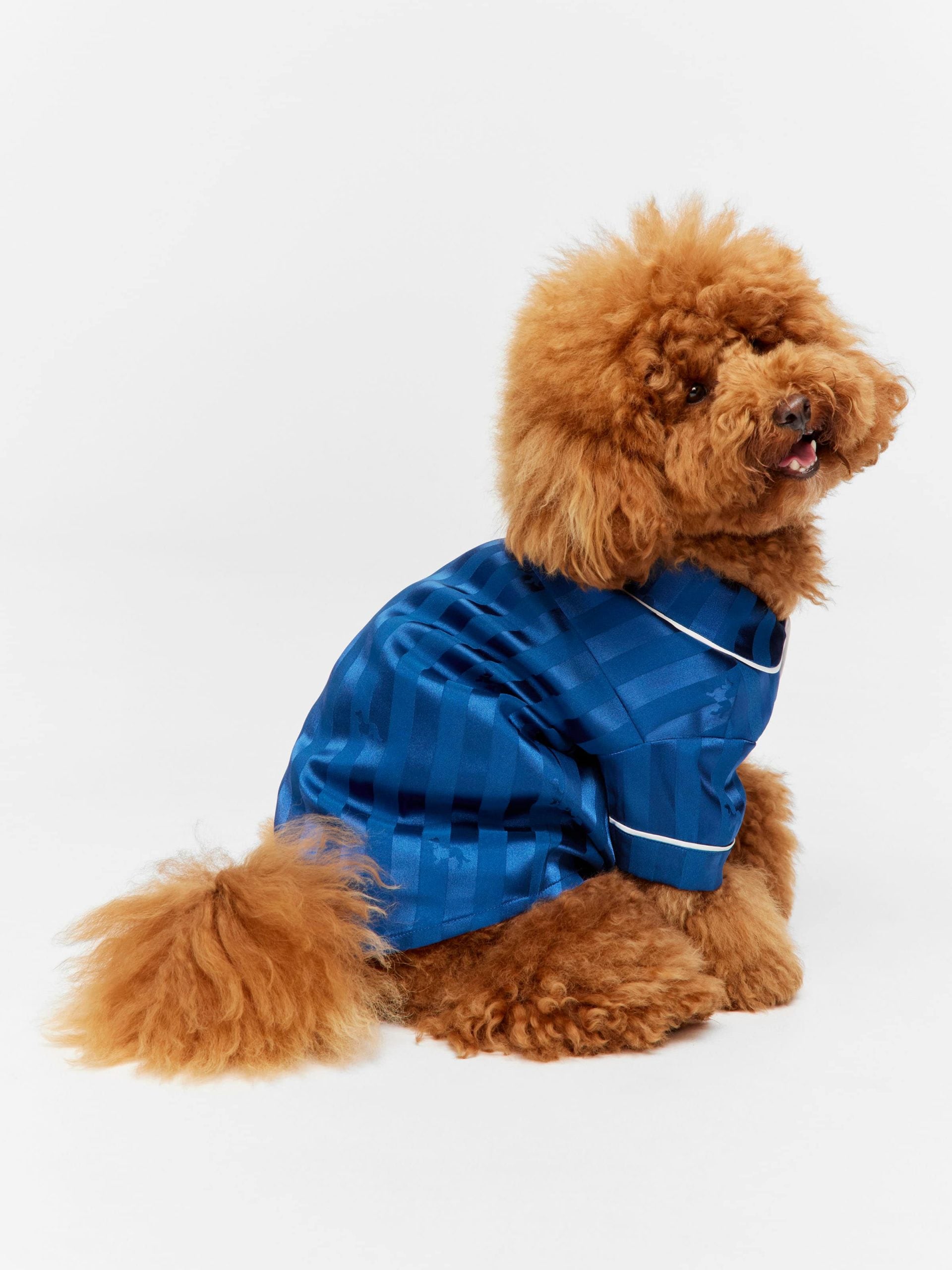 Navy Stripe Satin Doggie Shirt Navy image 1