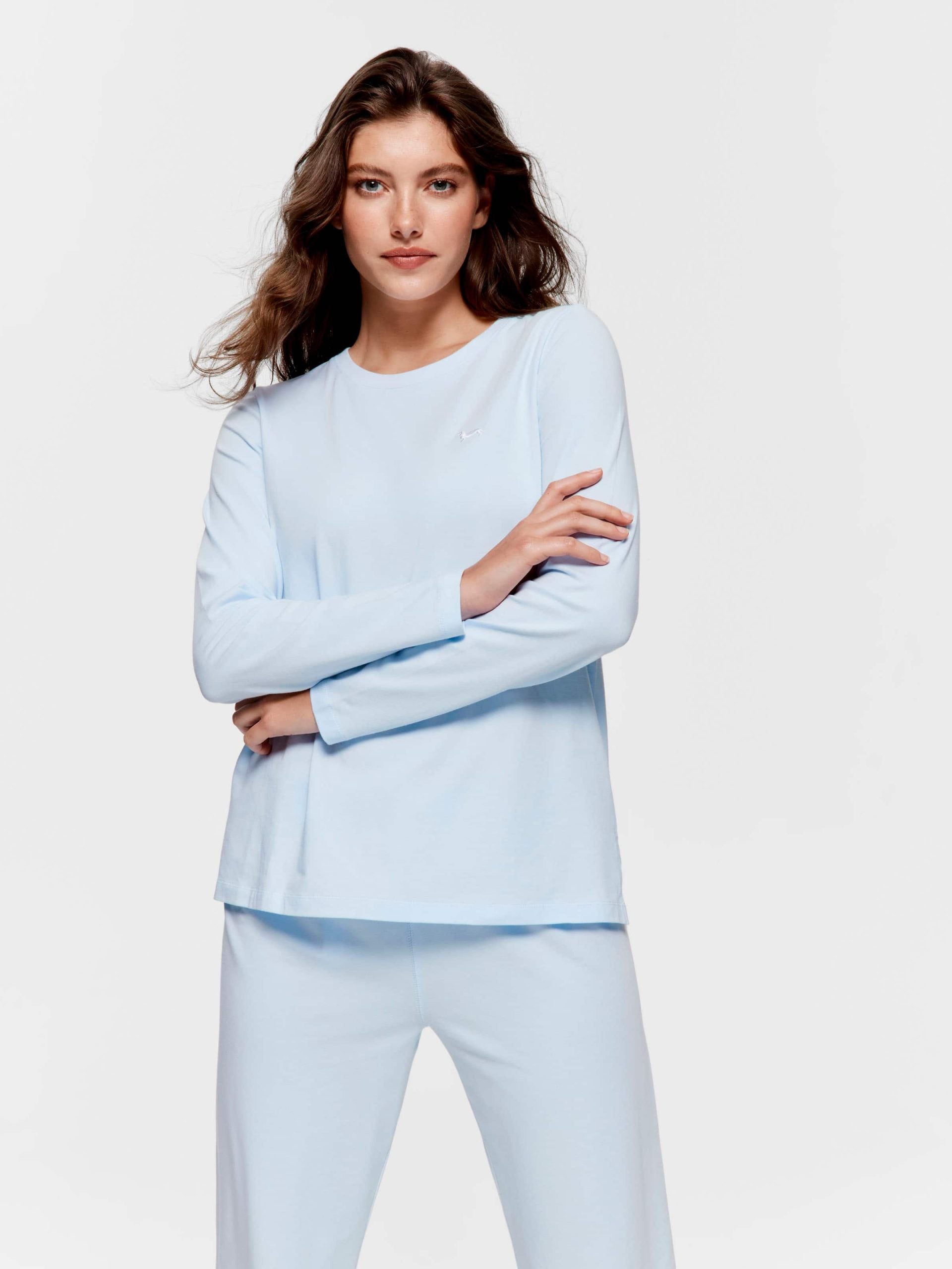 Pale Blue Long Sleeve Top paleblue image 1
