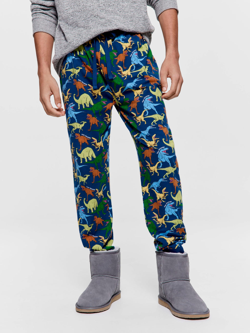 Dino Jogger Pj Pant multi image 2